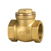 Zawór zwrotny klapowy DN15 - 1/2